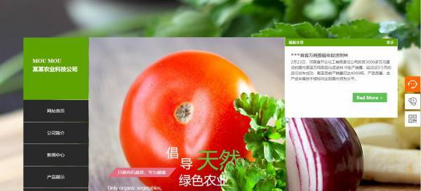 黄田营销型网站建设_CSS通常被称为样式表[微店商场开发]那主函数美化网页。例如：文本的外观， 图片， 控制网页的版本。