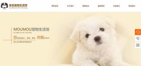 网站定位是准确的